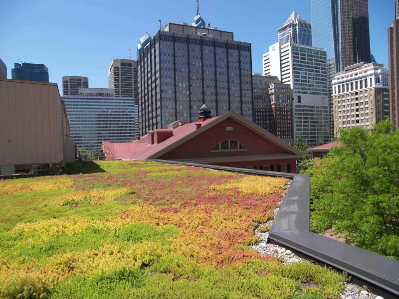 paysagiste-TRANS EN PROVENCE-min_green-roof-portfolio-4